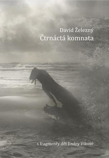 Čtrnáctá komnata - David Železný