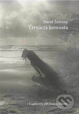 Čtrnáctá komnata - David Železný