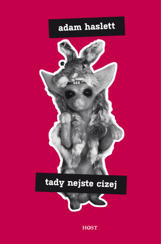 Tady nejste cizej - Adam Haslett - kniha z kategorie Životopisy