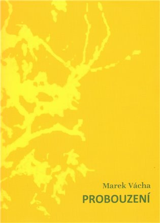 Probouzení