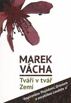 Tváří v tvář Zemi - Marek Orko Vácha