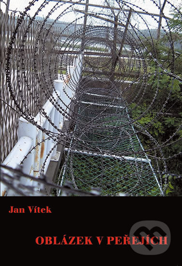 Oblázek v peřejích - Jan Vítek - kniha z kategorie Životopisy