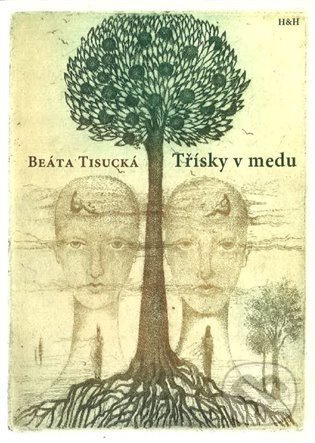 Třísky v medu - Beáta Tisucká