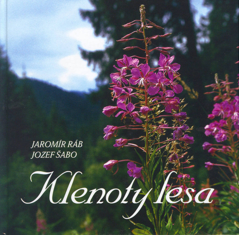 Klenoty lesa - Jaromír Ráb, Jozef Šabo - kniha z kategorie Fotografie