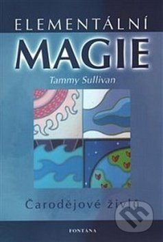 Elementální magie - čarodějové živlů