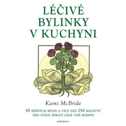 Léčivé bylinky v kuchyni - Kami McBride