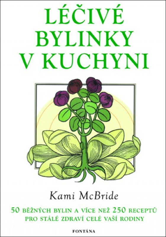 Léčivé bylinky v kuchyni - Kami McBride