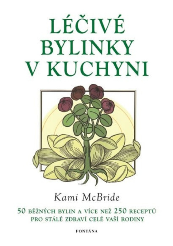 Léčivé bylinky v kuchyni - Kami McBride