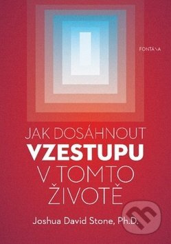 Jak dosáhnout vzestupu v tomto životě - Joshua David Stone