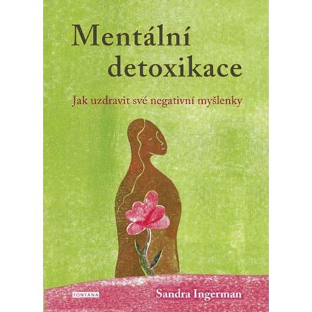 Mentální detoxikace - Sandra Ingerman