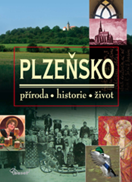 Plzeňsko - kolektiv