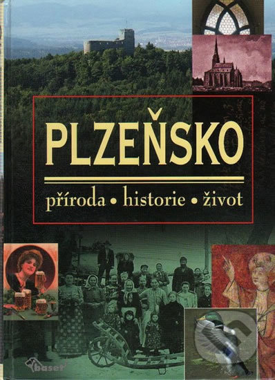 Plzeňsko - kolektiv