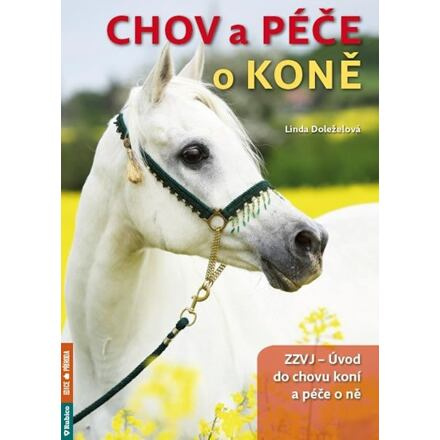 Chov a péče o koně