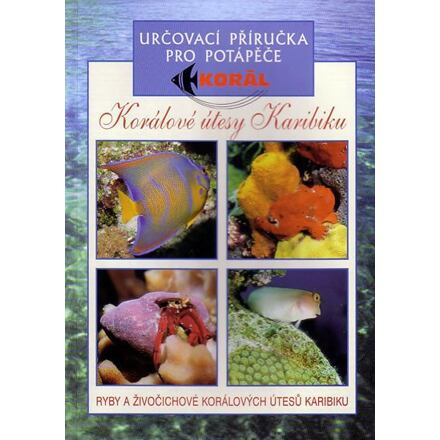 Korálové útesy v karibiku - Určovací příručka pro potapěče - Ryby a živočichové korálových útesů Kar