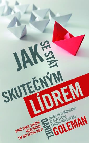 Jak se stát skutečným lídrem - Daniel Goleman