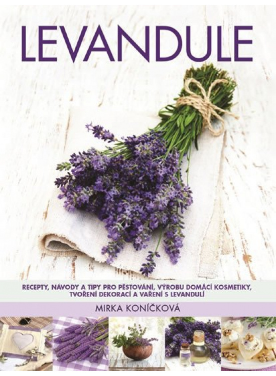 Levandule - Mirka Koníčková