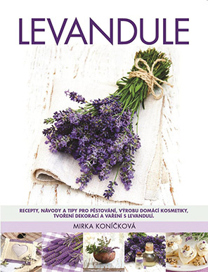 Levandule - Mirka Koníčková