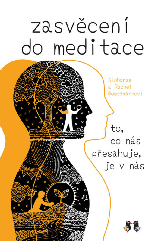 Zasvěcení do meditace - Alphonse Goettmann, Rachel Goettmannová