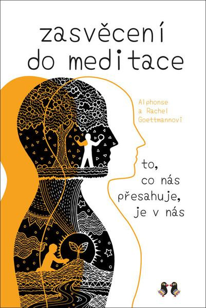 Zasvěcení do meditace - Alphonse Goettmann, Rachel Goettmannová