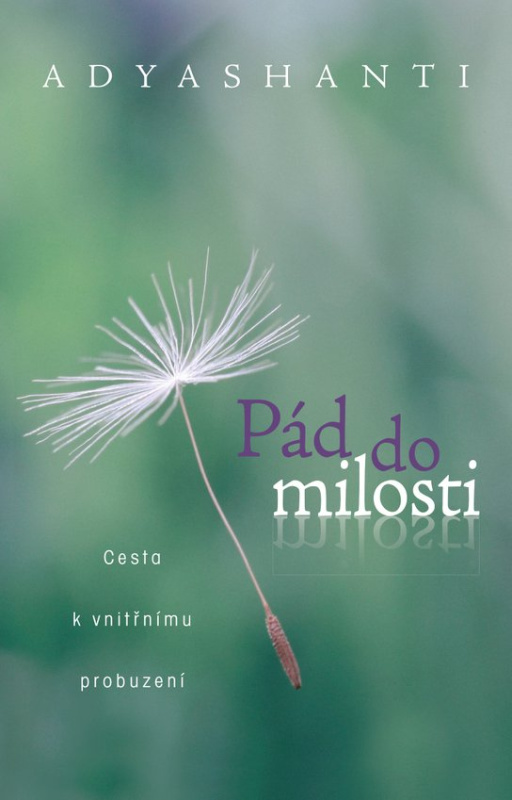 Pád do milosti - Adyshanti