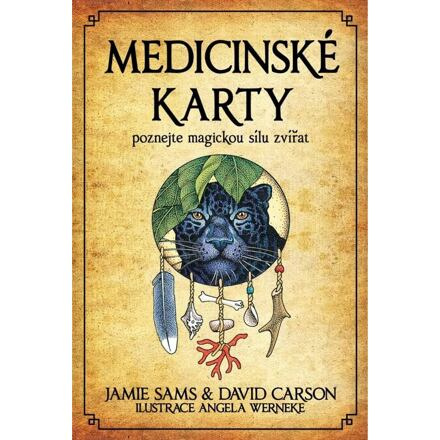 Medicinské karty (Kniha a 52 karet) - Jamie Sams, David Carson
