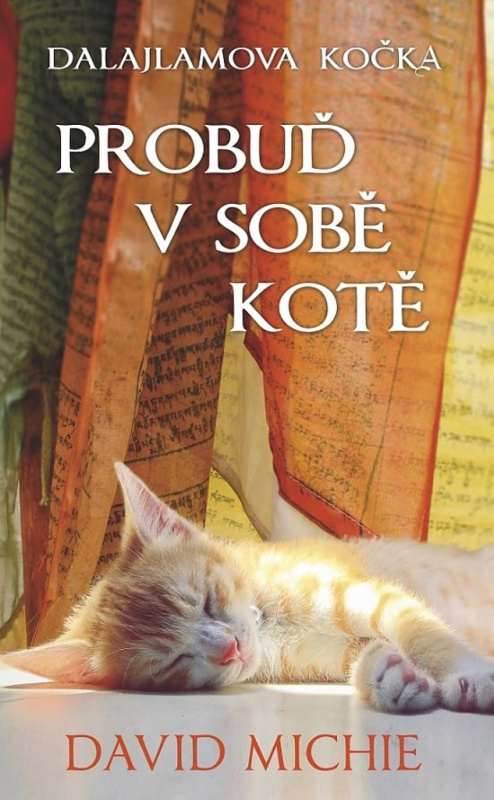 Dalajlamova kočka - Probuď v sobě kotě - David Michie