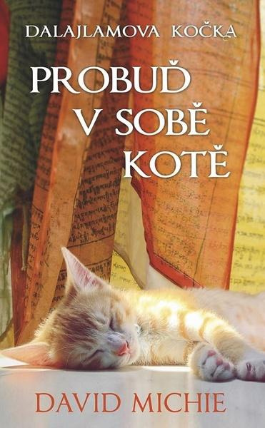 Dalajlamova kočka - Probuď v sobě kotě - David Michie
