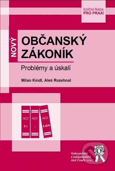 Občanský zákonník (Problémy a úskalí) - Aleš Rozehnal, Milan Kindl - kniha z kategorie Právo