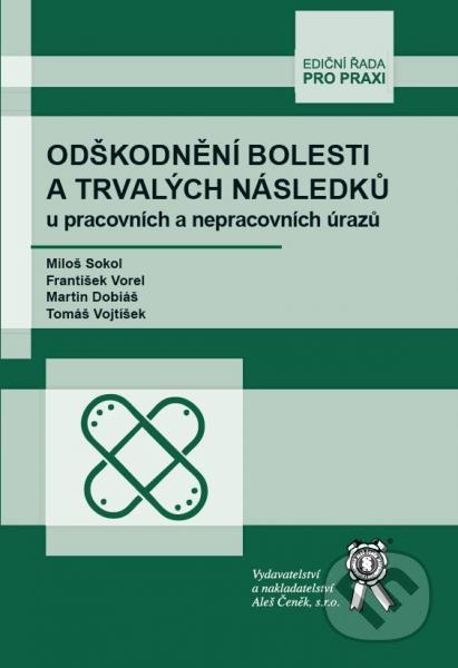 Odškodnění bolesti a trvalých následků u pracovních a nepracovních úrazů - kniha z kategorie Právo a etika v medicíně