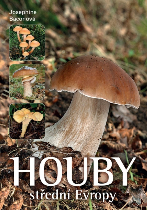 Houby střední Evropy - Josephine Bacon - kniha z kategorie Biologie