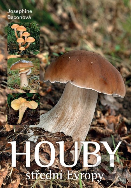 Houby střední Evropy - Josephine Bacon - kniha z kategorie Biologie
