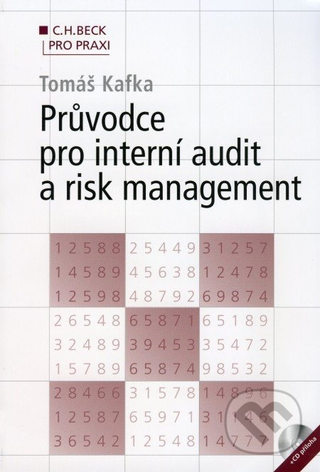 Průvodce pro interní audit a risk management - Tomáš Kafka - kniha z kategorie Technický management