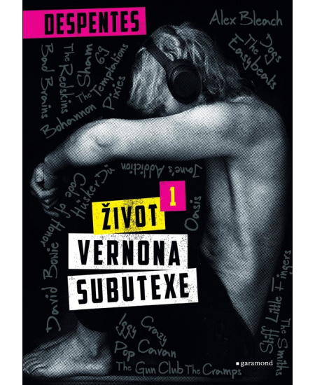 Život Vernona Subutexe 1 - Virginie Despentesová