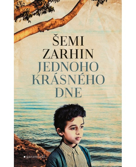 Jednoho krásného dne - Šemi Zarhin