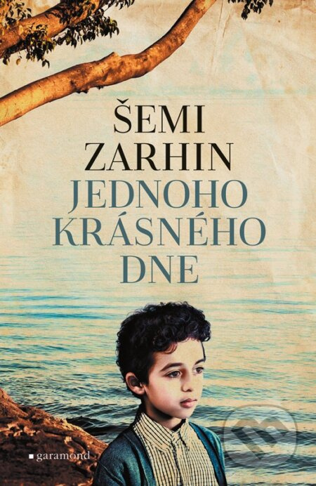 Jednoho krásného dne - Šemi Zarhin
