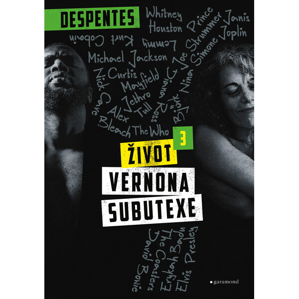 Život Vernona Subutexe 3 - Virginie Despentesová