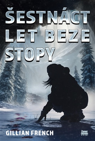 Šestnáct let beze stopy -  Gillian French