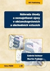 Náhrada škody a nemajetkové újmy v občanskoprávních a obchodních vztazích - kniha z kategorie Právo
