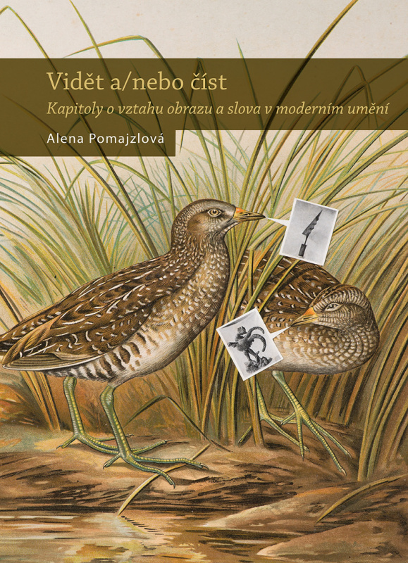 Vidět nebo číst (Kapitoly o vztahu obrazu a slova v moderním umění) - kniha z kategorie Grafický design