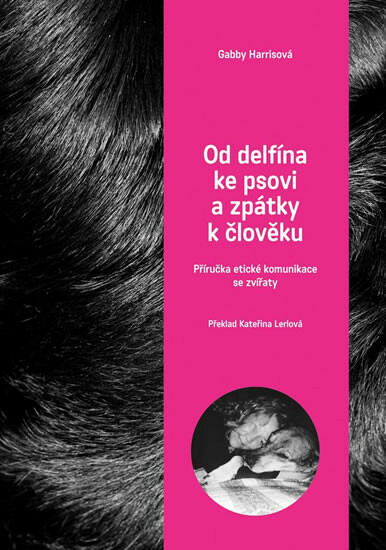 Od delfína ke psovi a zpět k člověku - Gabby Herrisová