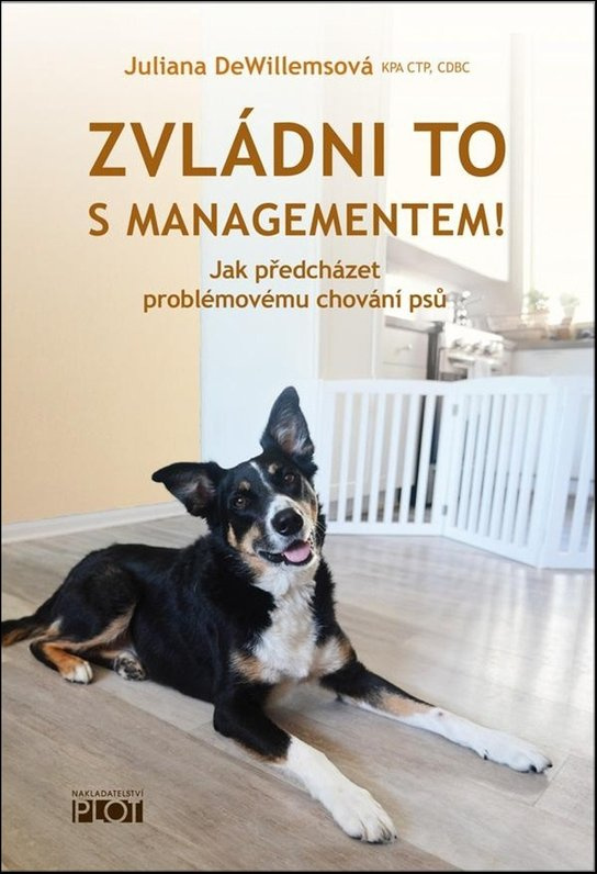 Zvládni to s managementem! - Juliana DeWillemsová
