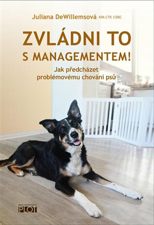 Zvládni to s managementem! - Juliana DeWillemsová