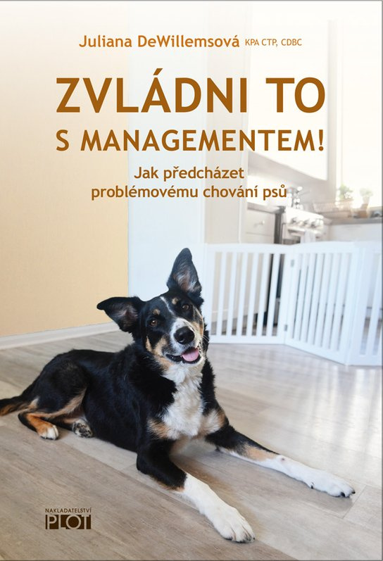 Zvládni to s managementem! -  Juliana DeWillemsová