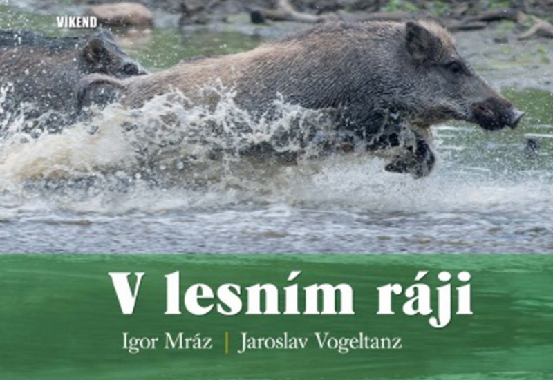 V lesním ráji - Jaroslav Vogeltanz, Igor Mráz
