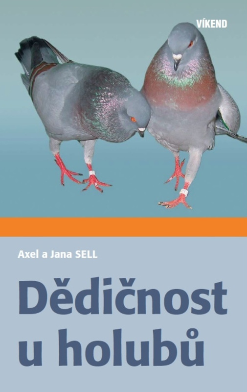 Dědičnost u holubů
