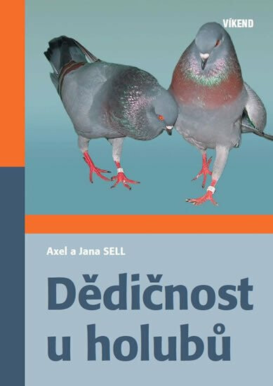 Dědičnost u holubů