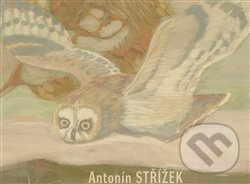 Antonín Střížek - Martin Dostál