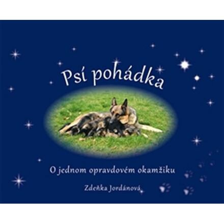 Psí pohádka o opravdovém okamžiku - Zdeňka Jordánová