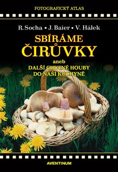 Sbíráme čirůvky a další chutné houby do naší kuchyně - Radomír Socha, Václav Hálek, Jiří Baier