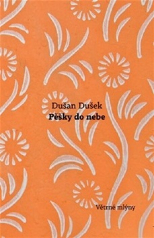 Pěšky do nebe - Dušan Dušek